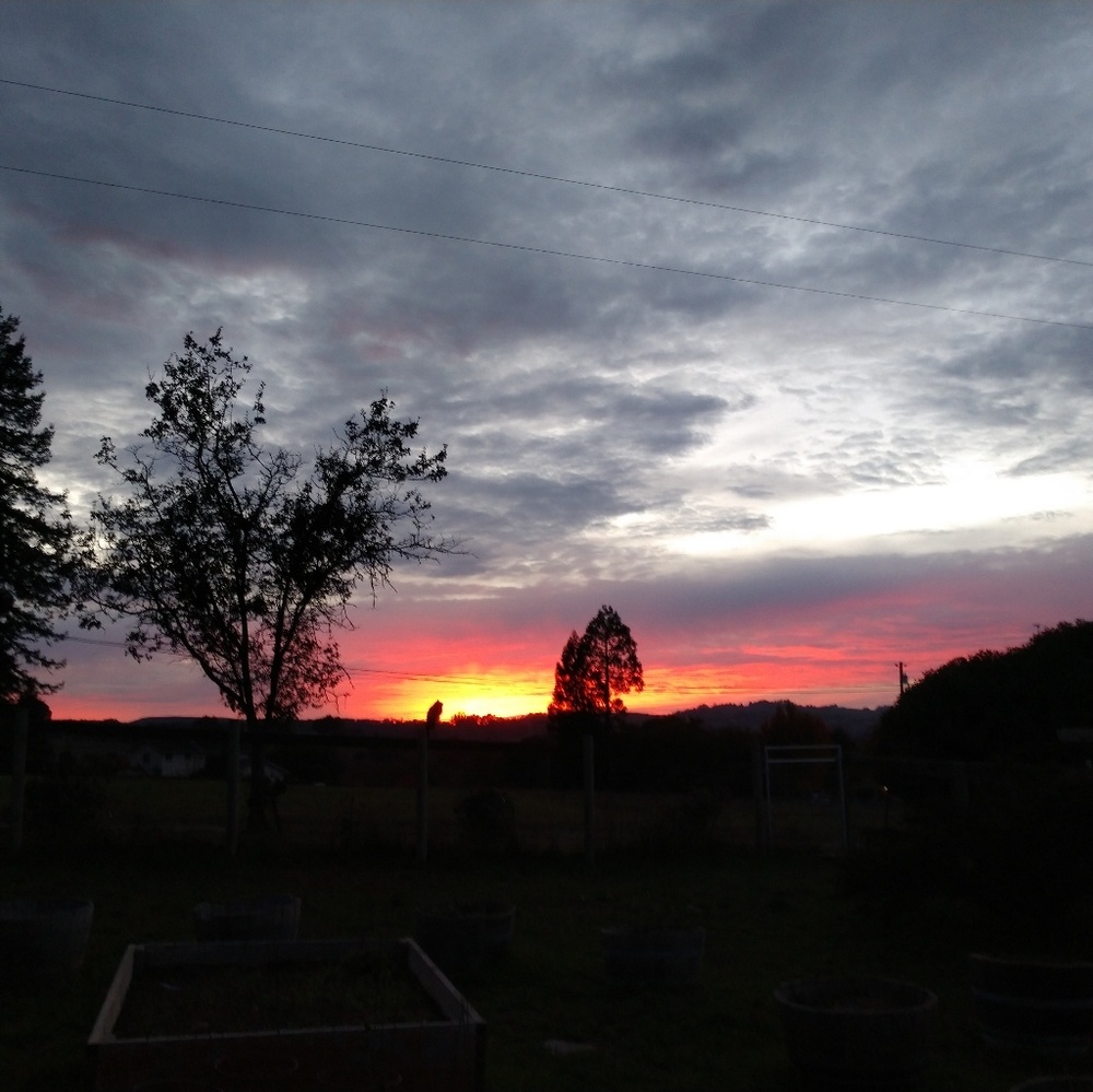 Meet your Posher, Caitlin